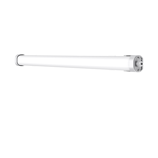 條管燈（集電）